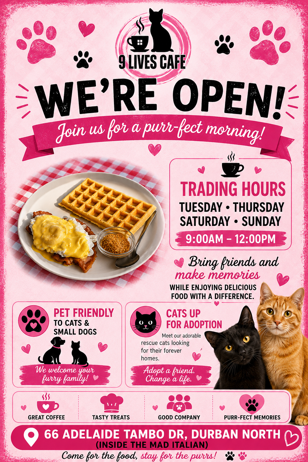 9 Lives Café — We're Open!