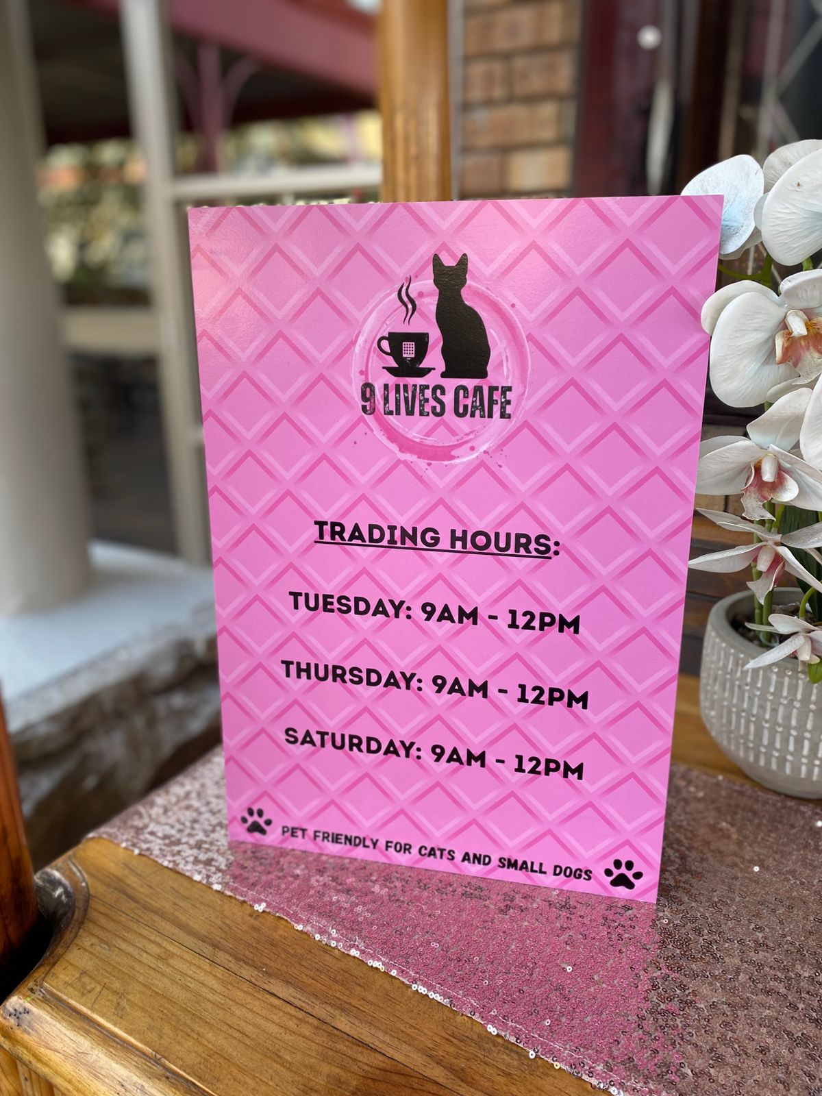 9 Lives Café photo 52