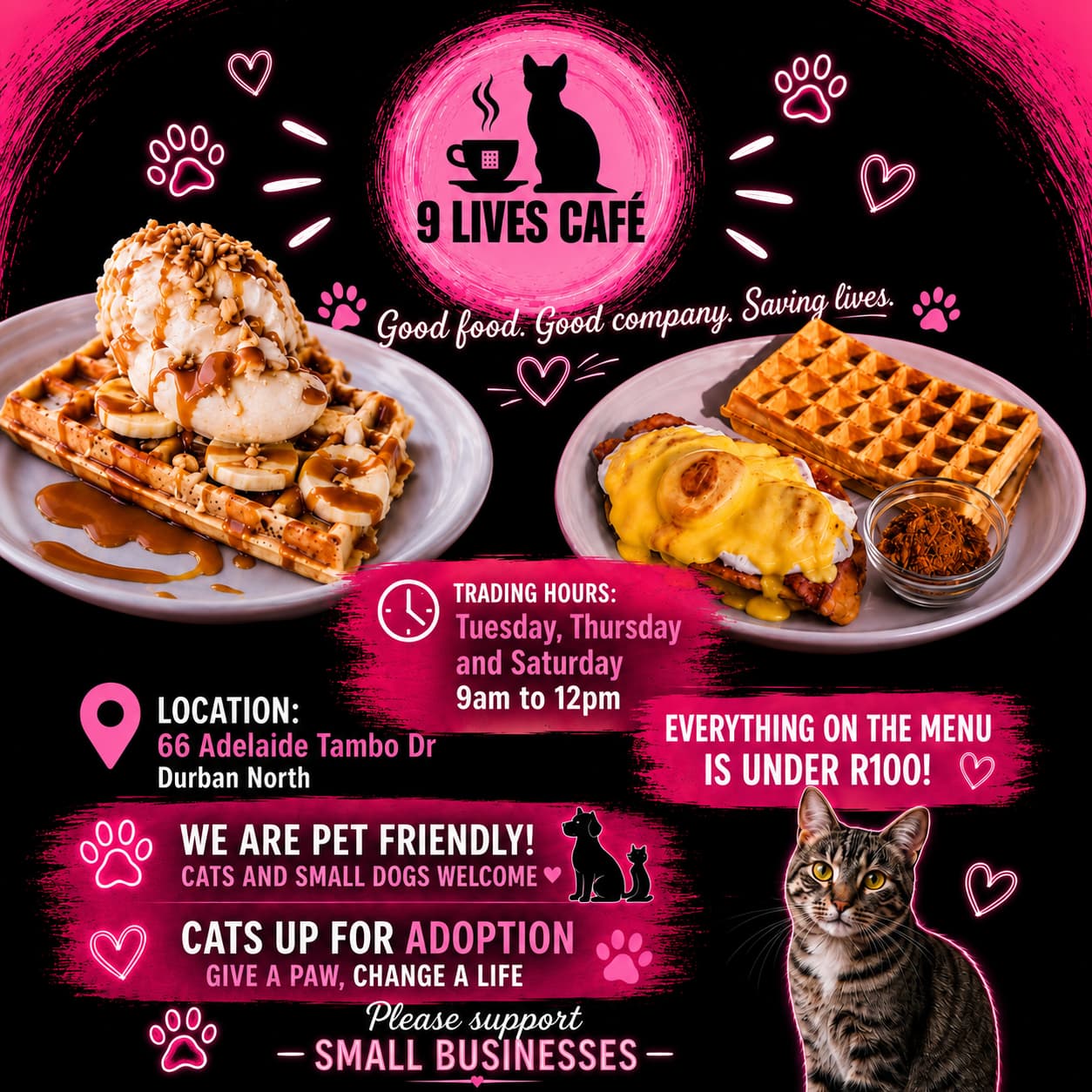 9 Lives Café photo 74